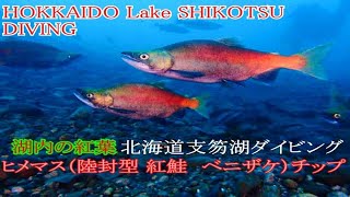 クラブキッズ(CLUB KID'S)