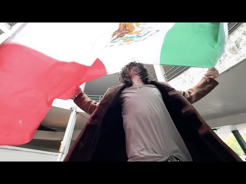 rommulas - insane (official music video)