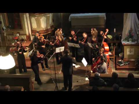 Vox Bohemica orchestra - A.Vivaldi The Four Seasons