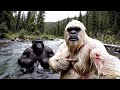 30 Minutes Of Bigfoot And Yeti VLOG Compilation