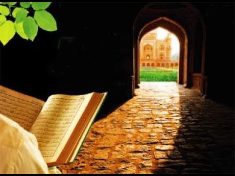 24. Çlirimi i Mekes dhe udhëzimet e tij – Qëndrim Jashari