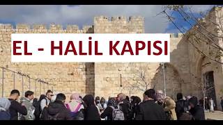 Kudüs Yahudi Mahallesi,Hz. Ömer Meydanı,El-Halil Kapısı,Hz. Musa Camii #kudus #t