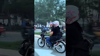 Download lagu Where I go, they must go too; I can't just leave them behind mp3 Download lagu Where I go, they must go too; I can't just leave them behind mp3