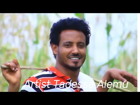 Artist Tadesse Alemu