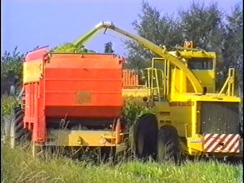 Loonw. Snauwaert - Jabbeke - Maïs hakselen - New Holland 2205 - Ford TW-20 - Ford 8210