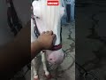 Crystal White Horse ️ Ytshorts Viral Shortsfeed Animal Youtubeshorts Foryourpage