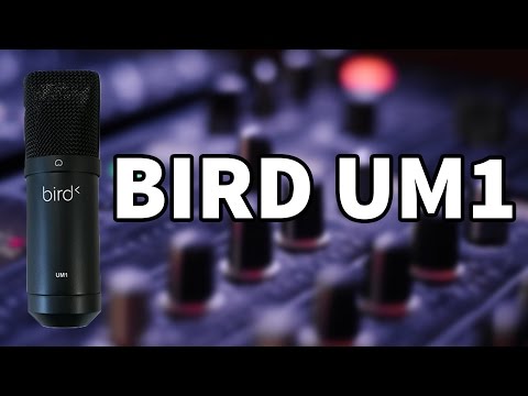 Test du Bird UM1