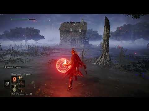 Elden Ring DLC Invasions - Death Knight Twin Axes build