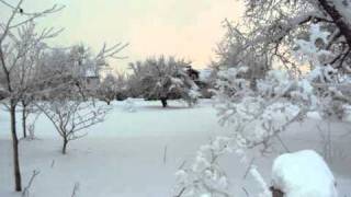 Come all ye faithful - Jill Johnson