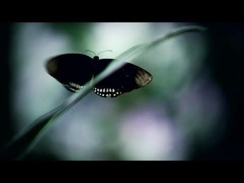 Jak kontrolować swoje sny [film dokumentalny, lektor PL]