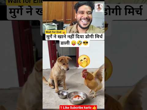Murge Ne Kane Nhi Deya Dogi Ne Mirch Dali 🤣😄😛 #viral #funny #funnydogs #trending #short #comedyreel