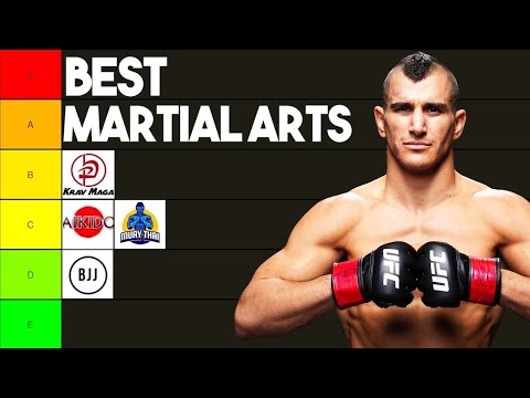 Best Martial Arts Ranked By PRO MMA Fighter