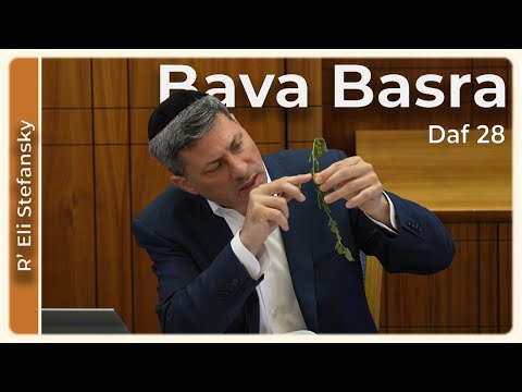 Daf Yomi Bava Basra Daf 28 by R’ Eli Stefansky