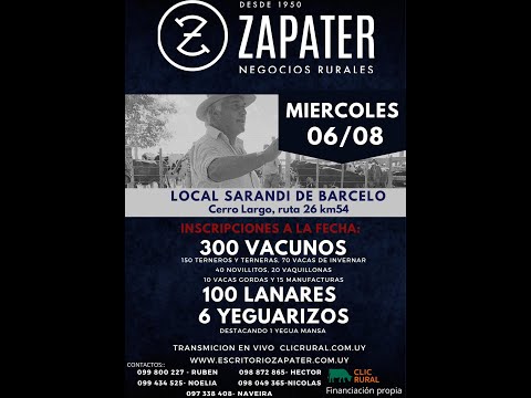 6/8/2025 Feria Mensual - Local Sarandi de Barceló -  Escritorio Zapater