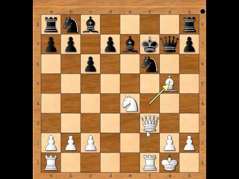 Pažnja počinje Kraljev gambit - McDonnell vs NN #702
