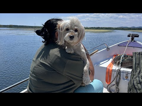 O noua aventură in Delta,dar fără pește🥹🥹