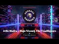 Jello Biafra + Mojo Nixon & The Toadliquors - Plastic Jesus (karaoke instrumental lyrics)