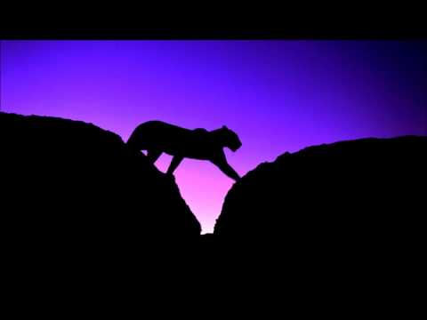 Funkbrainer - The Road to Kilimandjaro