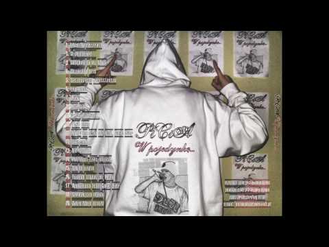 19. PiCiA - Outro/Moje dzieło (bit-Auditory) (2010)