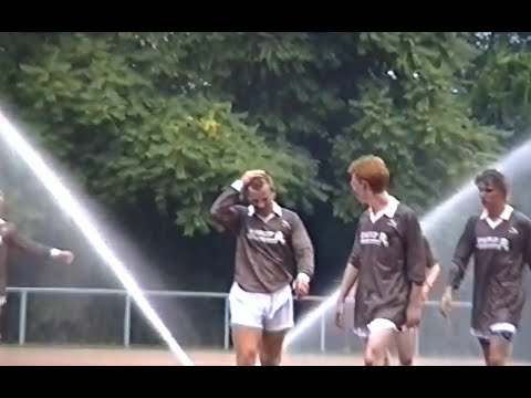 Los Teddy, hau sie alle um