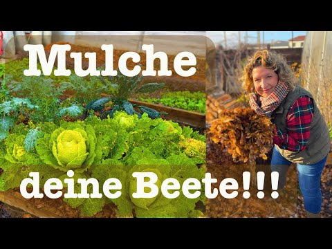 #113 Mulch your flower beds 🍁 Now with leaves!!! 🍂 and you'll have perfect soil next year