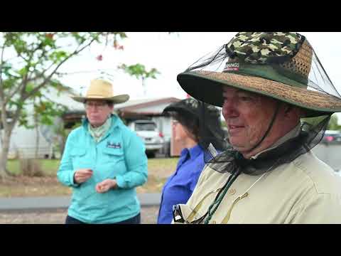 Top tips for beekeeping in Far North Queensland