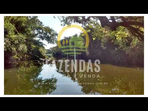 Fazenda a venda 157 Alqueires em Natividade na região de Tocantins TO.