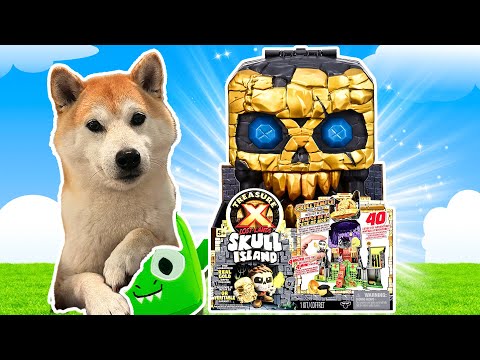 Opening Skull Island💀