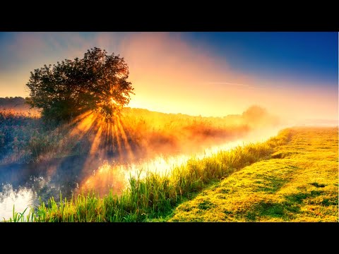 Morning Peace Music 😍 Boost Morning Meditation Music Healing 432Hz -The Deepest Healing Music