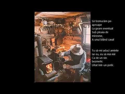 Creion - Tatiana Stepa, Magda Puscas (Partaj)