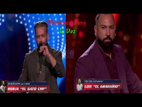 The Flamenco Battle of the Voice: Luis and El Gato CHP (AUDIOVISUAL)