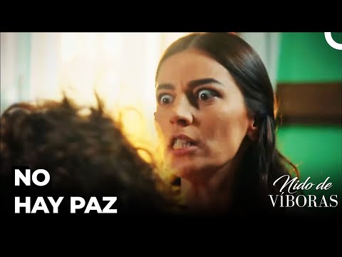 Sefika Se Volvió Loca - Nido De Víboras