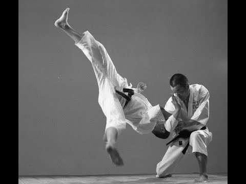 Shorinji Kempo Martial arts  Application Goho, Juho, pressure points