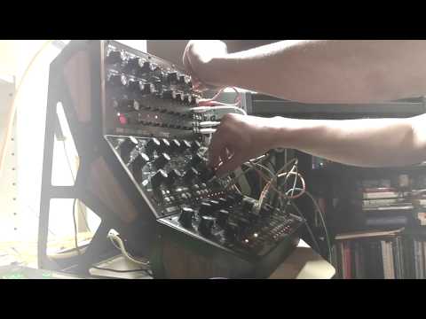 Moog DFAM and  2x Mother 32 jam