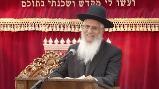 020מצוות ומדות-בראשית מ''ח-נ' (הרב יורם סרי) - התמונה מוצגת ישירות מתוך אתר האינטרנט יוטיוב. זכויות היוצרים בתמונה שייכות ליוצרה. קישור קרדיט למקור התוכן נמצא בתוך דף הסרטון