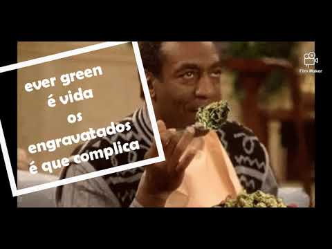 Xivit's(PDC) PT Nando B - PSYCODELICO(Lyricvideo)