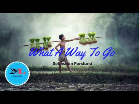 What A Way To Go( Cospe Remix) By Sebastian Forslund[ House Music]