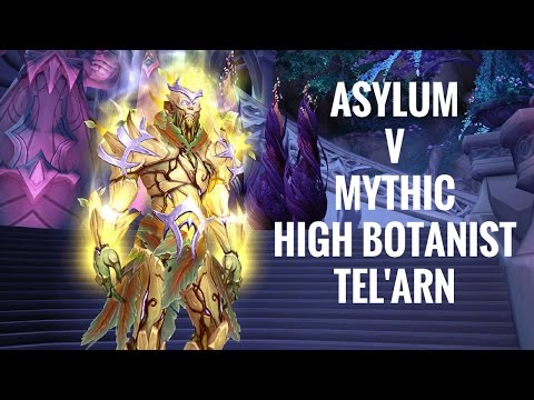 Asylum vs High Botanist Tel'arn Mythic