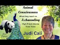 In Remembrance Of JUDY CALI Animal Consciousness High Priest Adama Channeling