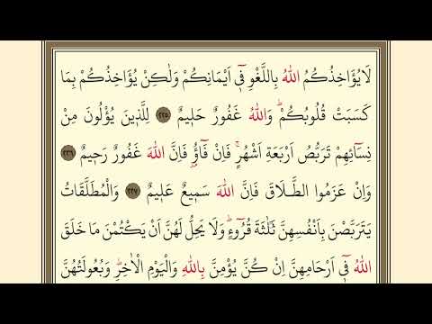 35.DERS | KURANI KERİMİ YAVAŞ VE TECVİTLİ OKUMA DERSLERİ |BAQARA 225-230 | SURAH AL BAQARA READİNG