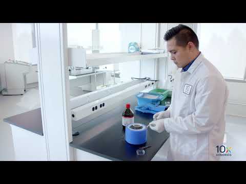 Visium Tissue Preparation Protocol | Flash Freezing Tissue