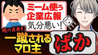 【ミーム広告】オーバーキル…ニコニコなどのミームを使う企業の広報に憤るオタクを一蹴するかなえ先生【かなえ先生切り抜き】Vtuber アル中カラカラ