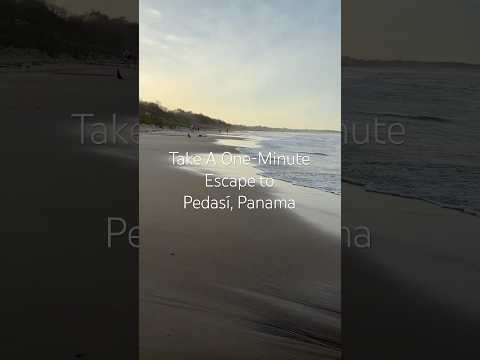 A One-Minute Escape to Pedasí, Panama