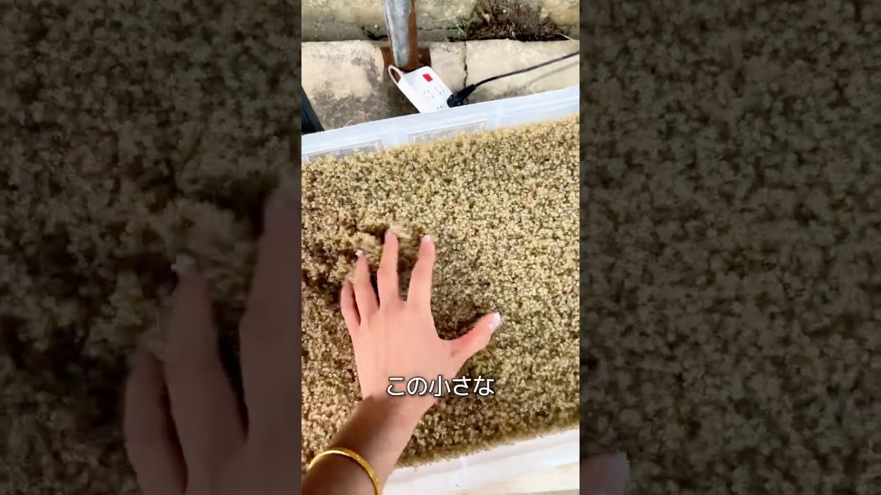 農家を助ける生き物