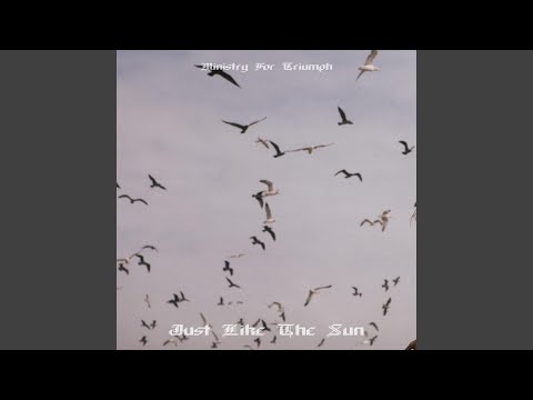 Nobody Likes A Bully