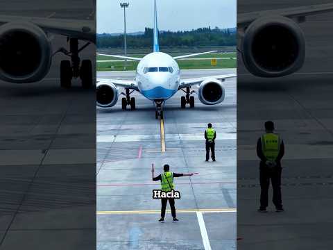 Héroe oculto del aeropuerto ¡La verdadera guía del piloto! #ytshorts #shortyz #shorts #facts #reels