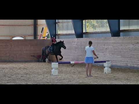 Pointed Star rids av Thilde 6.5 år.