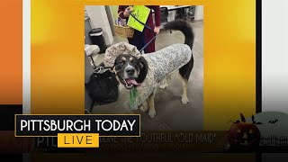 PTL's Howl-O-Ween Parade goes national!