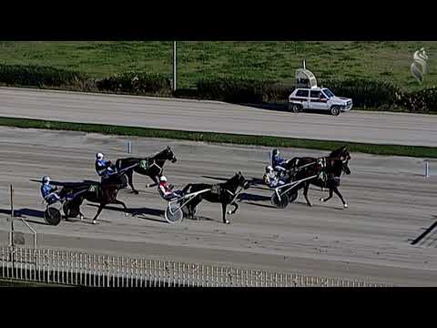 Aversa trotto 13 Gennaio 2021 - 1° Corsa