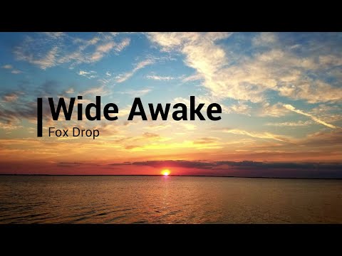 [Lyrics] Fox Drop - Wide Awake